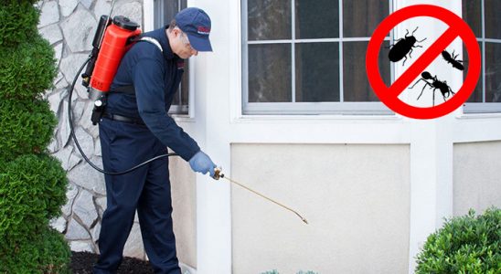 Bayat Dezenfeksiyon böcek ilaçlama ve haşere kontrolü — ilaclama-tr.com